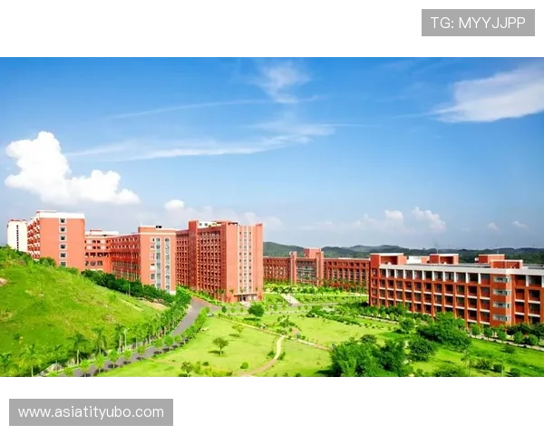 未来AOA竞技体育在电竞教育与职业培训中的发展前景与创新路径